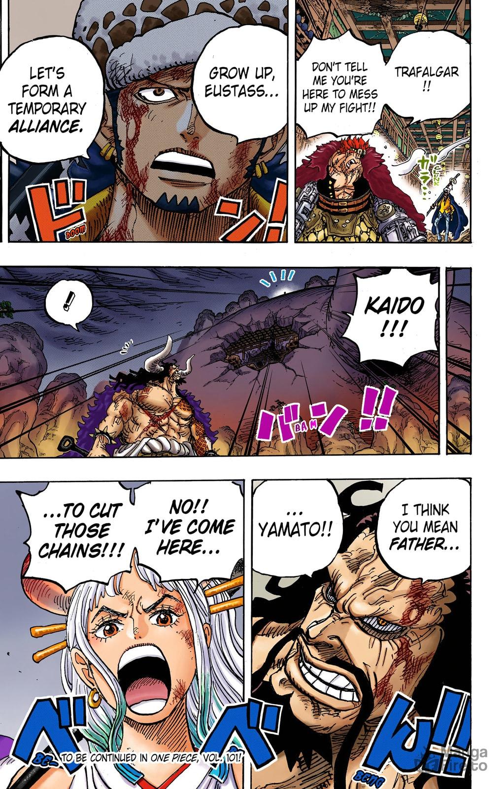 One Piece Digital Colored Chapter 1015 image 15